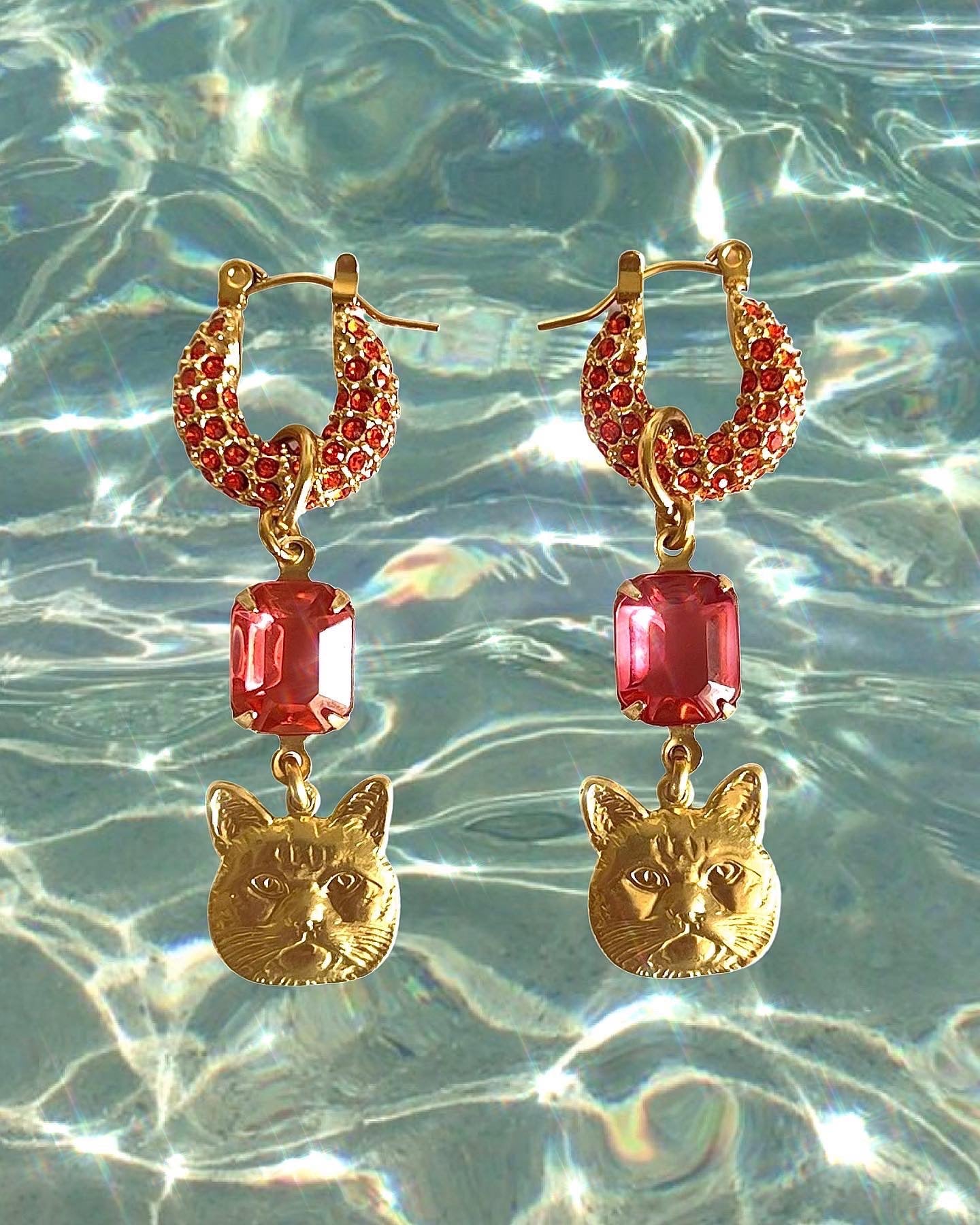 Orange and Pink cat hoops