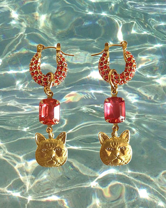 Orange and Pink cat hoops